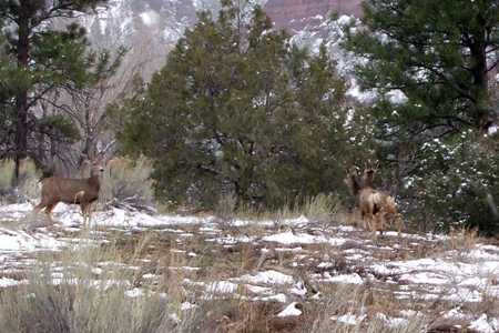 Telluride 2009 - Day 3 - 31.JPG